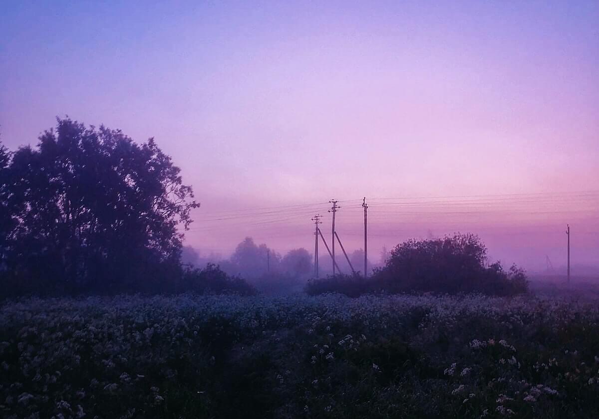 kaiyun.com：云端新纪元的全方位数字化解码